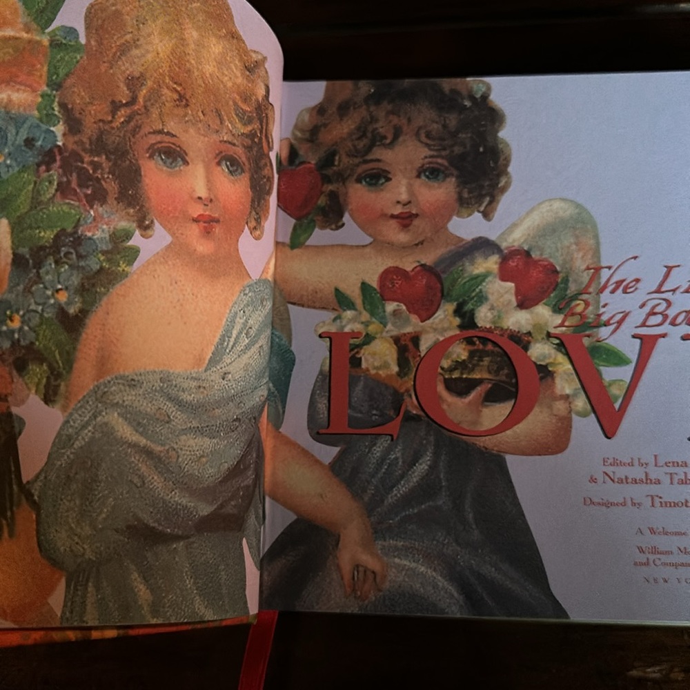 The Little Big Book of Love - the most adorable, chunky Valentine ever!! - Picture 2 of 16